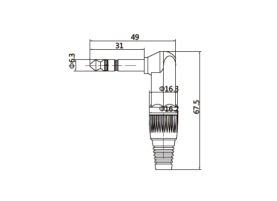 LC3133.jpg